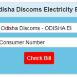How can I check my Odisha Discom electric bill?