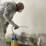 Finding Free Mold Testing Services Near Youfree mold testing near meFinding Free Mold Testing Services Near You